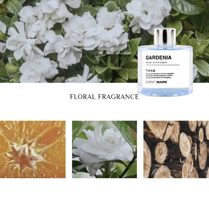 Luxus 50ML Raumduftset mit ätherischen Ölen – Lavendel, Rose, Jasmin Düfte, Aromatherapie Raumerfrischer für Hotel und Zuhause, langanhaltender Duft, eleganter Glasbehälter